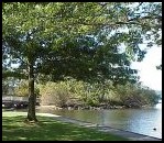 Lake Washington from Coulon Park in Renton.