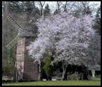 Windmill at Marymoor Park.