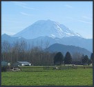 View of Mt. Rainier near Ravensdale Park.