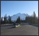 View of Mount Rainier from Sunrise.