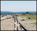 View of Padilla Bay near Bay View State Park.