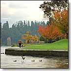 Seward Park, Seattle.